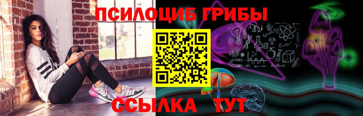Гуково  Псилоцибиновые грибы Cubensis  Вход с VPN 